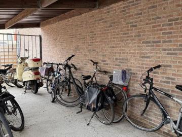 8800, Roeselare, Roulers, Flandre-Occidentale, Flandre