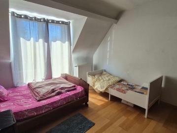 8800, Roeselare, Roulers, Flandre-Occidentale, Flandre