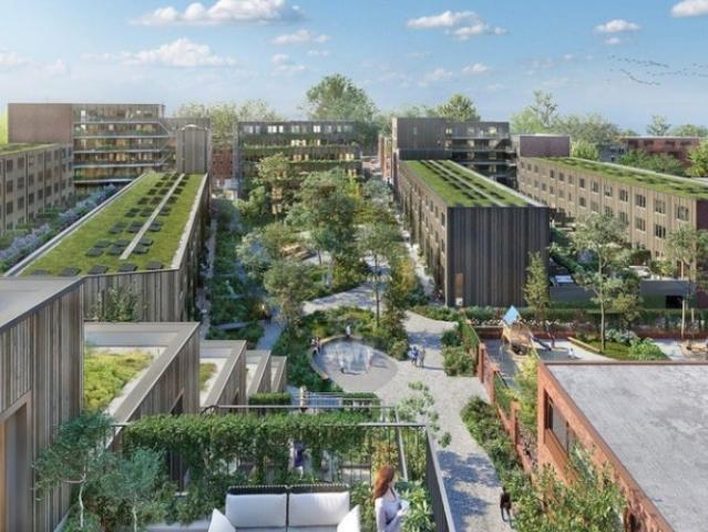 Appartement te huur in Rotterdam
