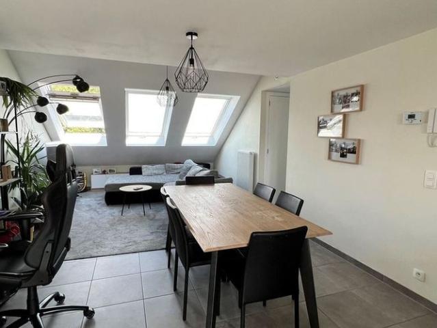 Appartement te huur in Sint Niklaas voor € 750 met 1 slaapkamer