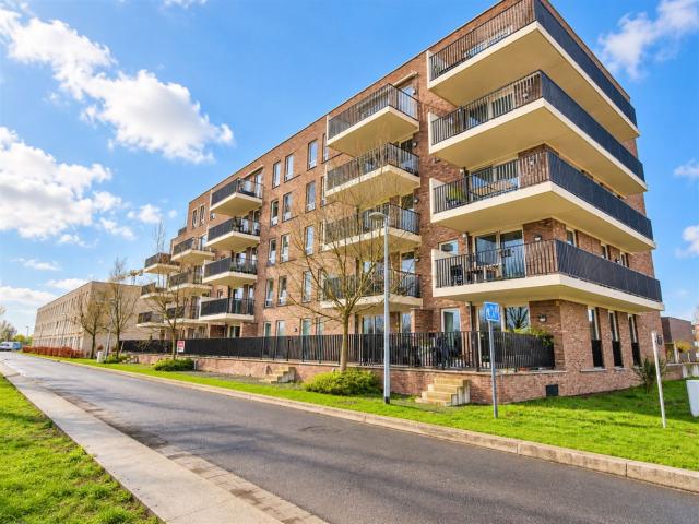 Appartement te huur in Sint Niklaas met 1 slaapkamer