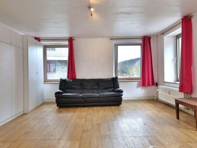 Appartement te huur in Sougné Remouchamps voor € 450 met 1 slaapkamer