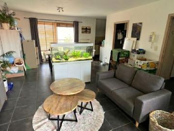 Appartement te huur in Temse voor € 690 met 1 slaapkamer