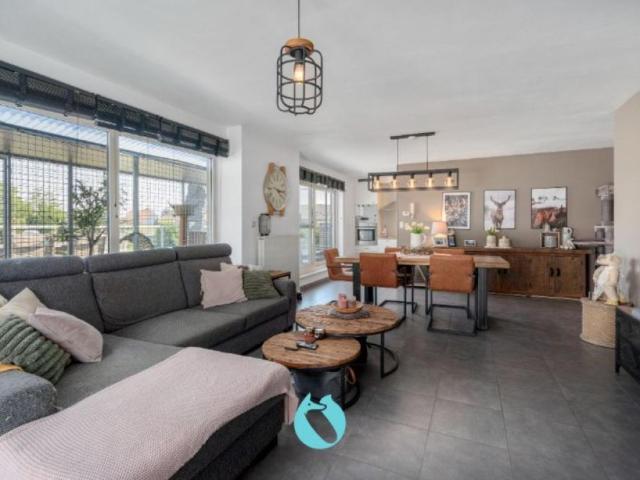 Appartement te huur in Zelzate