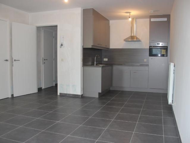 Appartement te huur Lokeren