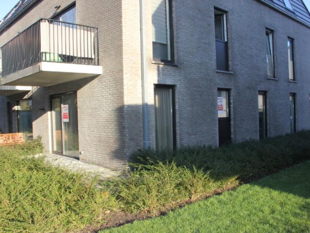 Appartement te huur Lokeren