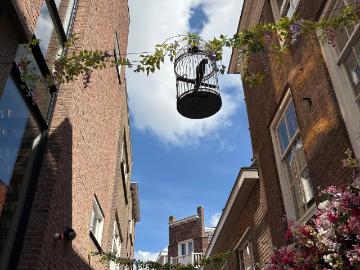 Appartement te huur Papegaaistraat in Goes voor € 1.350