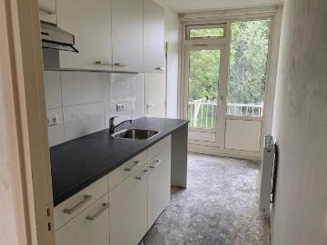Reyeroord, Gemeente Rotterdam, Zuid-Holland
