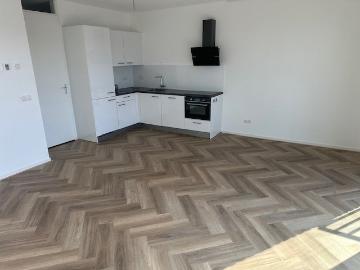 Olland, Meierijstad, Noord-Brabant
