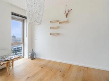 Olland, Meierijstad, Noord-Brabant