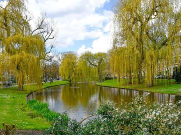 Spoorsingel, Provenierswijk, Gemeente Rotterdam, Zuid-Holland