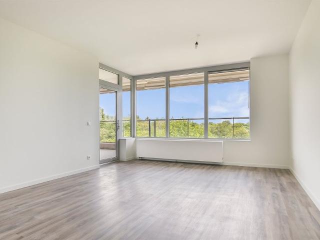 Appartement te huur Wagenaarstraat en omgeving, Sibeliuspark in Oss