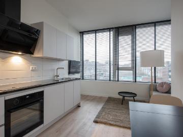 Artiestenbuurt, Rijswijk, Zuid-Holland, Zuid-Holland