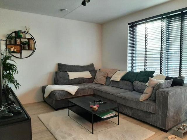 Appartement te huur: Wijk aan Duinerweg 171 N 1944 TT Beverwijk