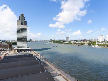 Wilhelminapier, Gemeente Rotterdam, Zuid-Holland