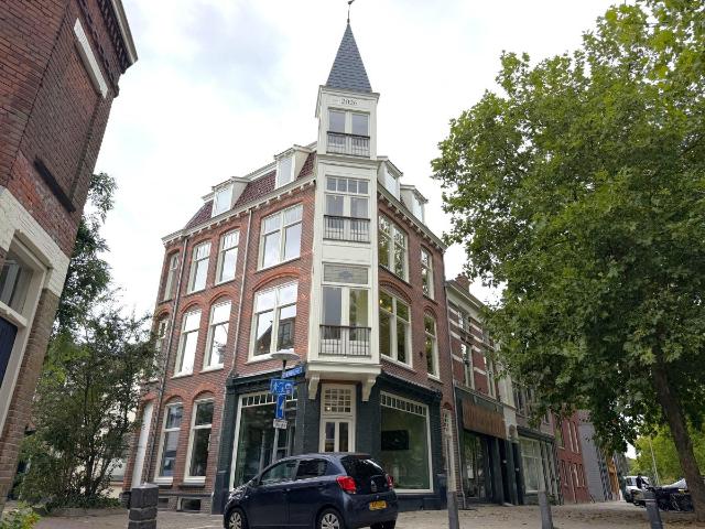 Appartement te huur Wittevrouwen, Kleinesingel in Utrecht