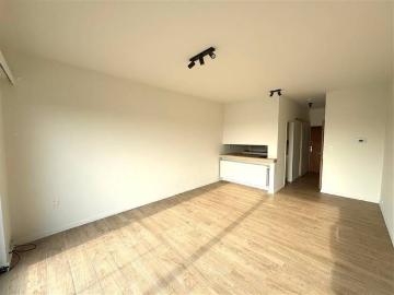 2180, Anvers, Province de Anvers, Flandre