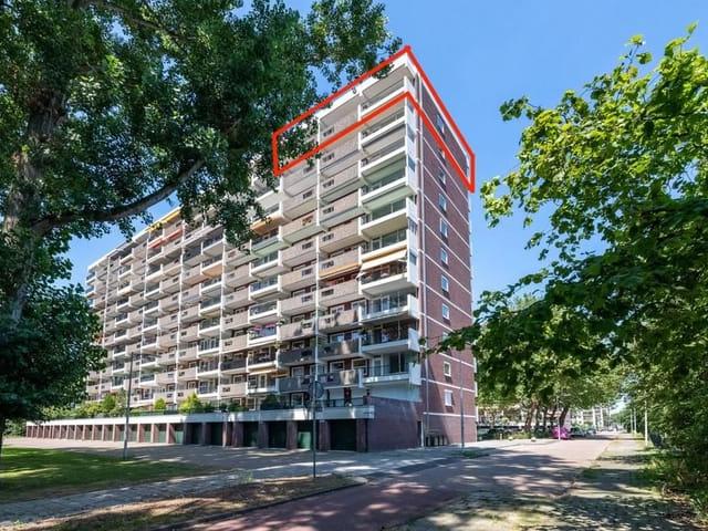 apartment for rent in Jisperveldstraat 55 1024AB Amsterdam Werengouw Noord Amsterdam