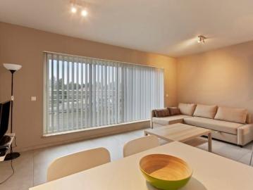 2160, Arrondissement de Anvers, Province de Anvers, Flandre