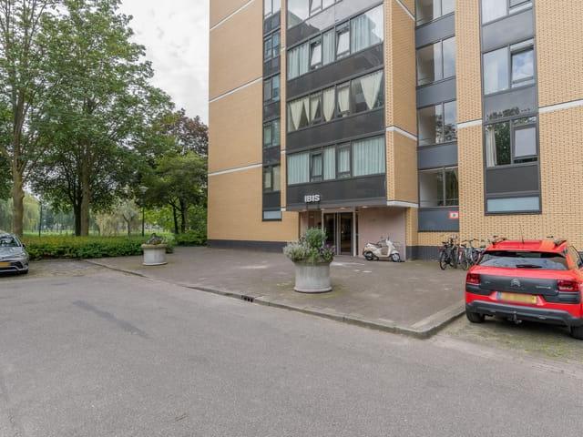 Appartement te huur