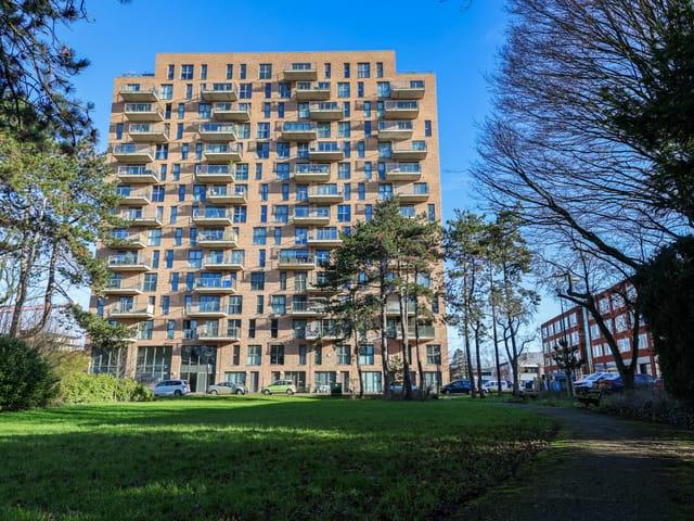 apartment for rent in Treubstraat 12 F062 2288EJ Rijswijk Plaspoelpolder Rijswijk ZH