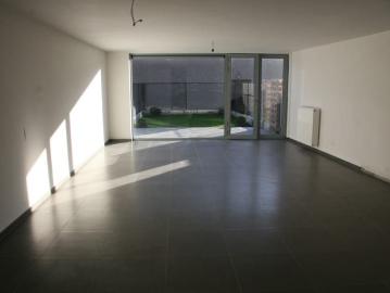 2520, Arrondissement de Anvers, Province de Anvers, Flandre