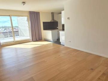 9200, Termonde, Flandre orientale, Flandre