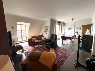 2390, Malle, Province de Anvers, Flandre