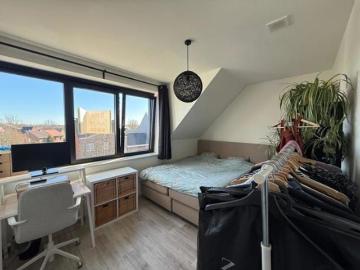 2980, Arrondissement de Anvers, Province de Anvers, Flandre