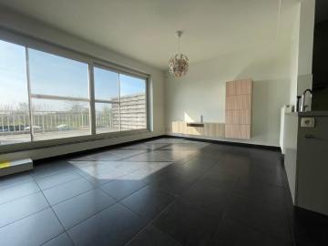 2940, Arrondissement de Anvers, Province de Anvers, Flandre