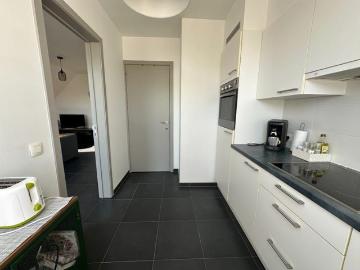 8820, Thourout, Flandre-Occidentale, Flandre
