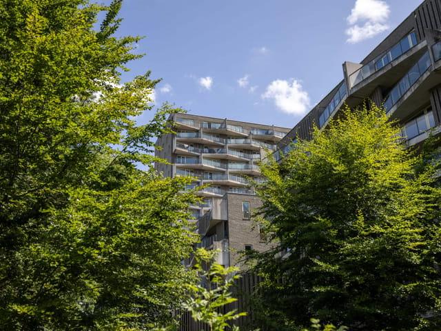 Appartement te huur