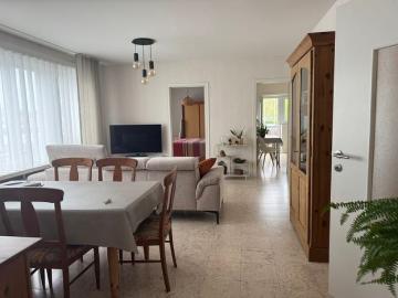 8870, Roeselare, Roulers, Flandre-Occidentale, Flandre