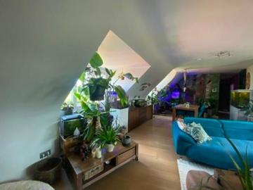 Appartement te huur