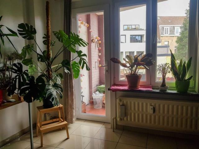 Appartement te huur