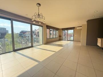 8800, Roeselare, Roulers, Flandre-Occidentale, Flandre