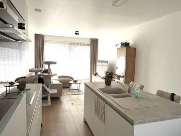 2390, Malle, Province de Anvers, Flandre