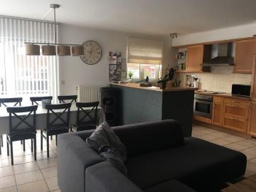 2550, Arrondissement de Anvers, Province de Anvers, Flandre