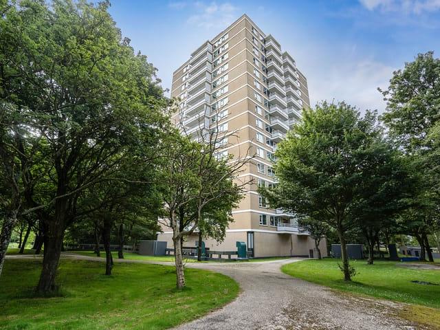apartment for rent in Staalmeesterslaan 331 1057 PC Amsterdam Rembrandtpark Noord