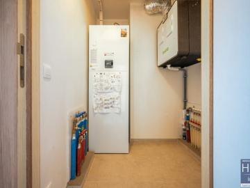 9770, Kruisem, Flandre orientale, Flandre