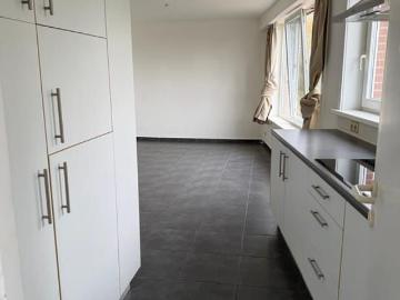 2850, Arrondissement de Anvers, Province de Anvers, Flandre