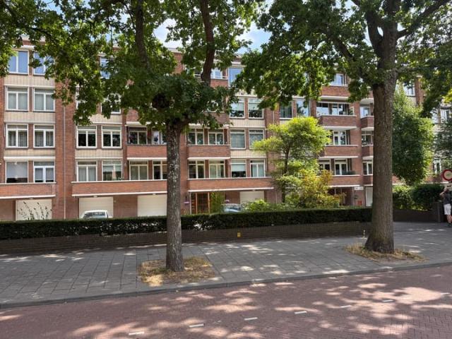 apartment for rent in Zonnebloemstraat 217 2565 RV Den Haag Bloemenbuurt West