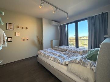 3800, Saint-Trond, Hasselt - Terras