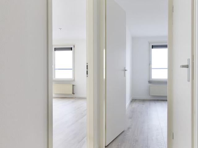 apartment for rent in Torenmolen 48 2317 NW Leiden Merenwijk Centrum