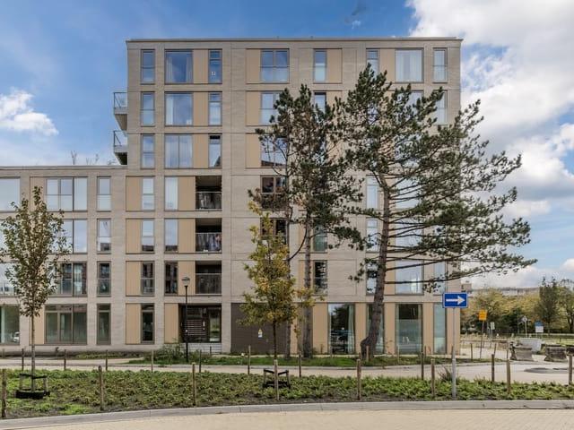 apartment for rent in Sabapad 38 2035 VW Haarlem Romolenpolder oost