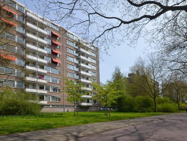 apartment for rent in Bolestein 678 1081 EM Amsterdam Buitenveldert Zuidwest