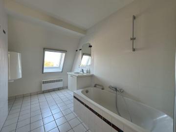 9230, Termonde, Flandre orientale, Flandre