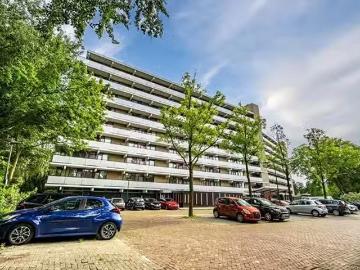 Binnenstad, Leiden, Leiden, Zuid-Holland
