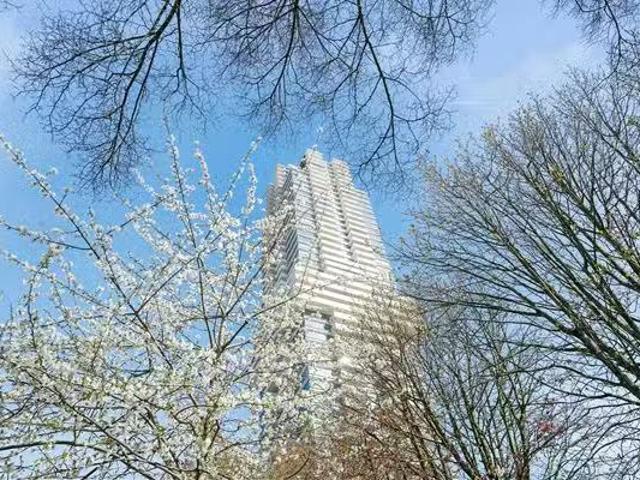 Appartement te koop Burgemeester Meineszlaan 77 B 03 in Rotter.