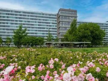 Erasmuspark, West, Amsterdam, Amsterdam, Noord-Holland, Noord-Holland